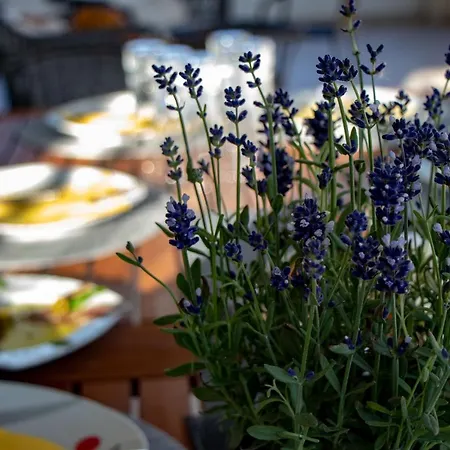 Villa Initium,heated Pool Season